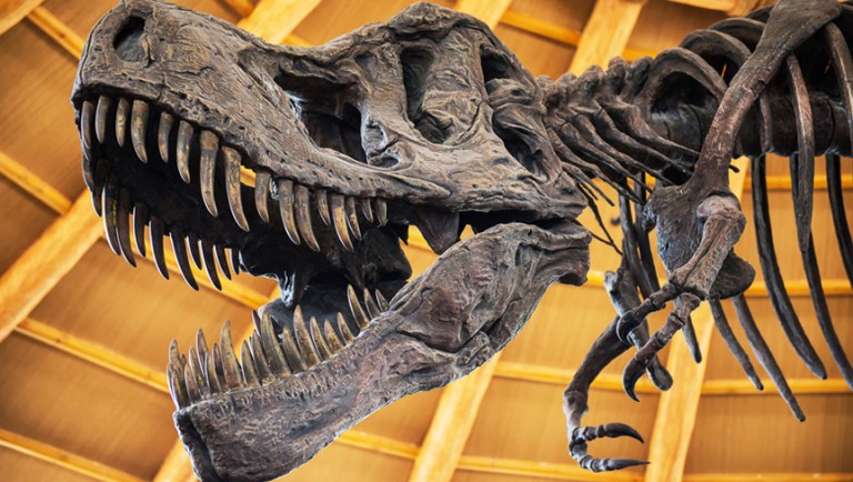 Existence of dinosaurs predates existence of the Alps