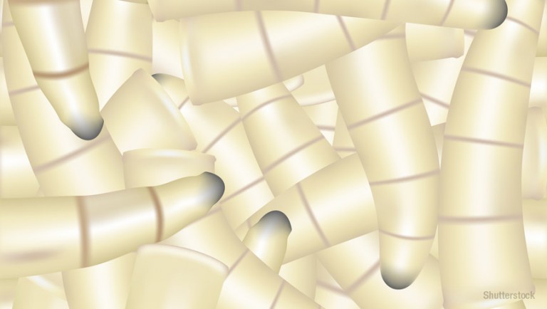 Maggot therapy for wounds